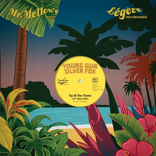 Various - The Disco Mixes [VINYL]