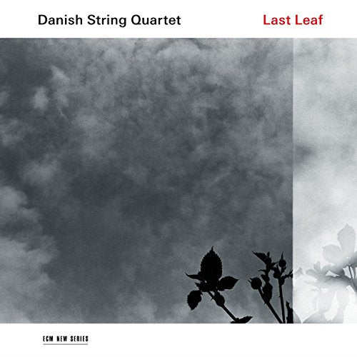 "Album cover with black and white cloudy sky and silhouetted flowers, white border."