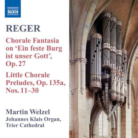 Welzel - Reger: Organ Works, Vol. 8 [CD]