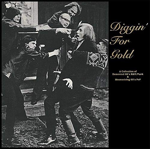 Various Artists - Diggin' For Gold ( Vinyl) [VINYL]
