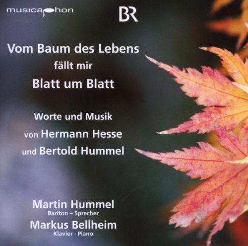 CD cover with autumn leaves and white text on a blurred background.