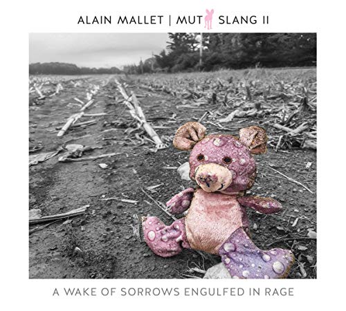 Pink teddy bear on a desolate, debris-filled landscape in a black-and-white album cover.