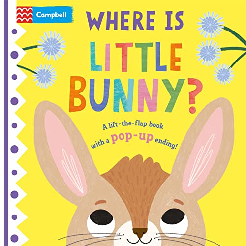 Where is Little Bunny?: The lift-the-flap book with a pop-up ending! (Where is Little..., 1)