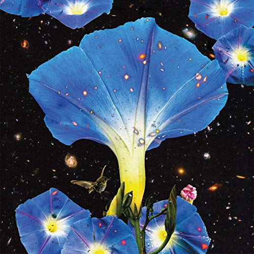 Various - Nighttime Birds And Morning Stars [VINYL]