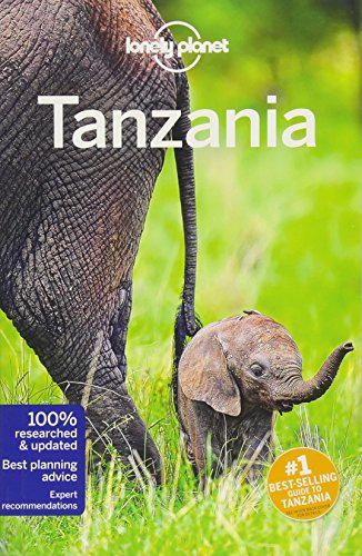 "Book cover showing an adult and baby elephant in a grassy field."