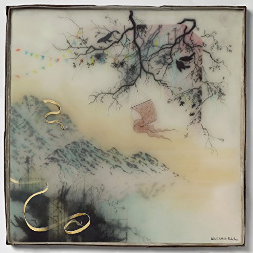 Novo Amor - Birthplace [VINYL]