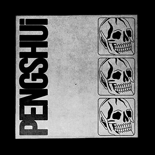 Black and white vinyl album cover with "PENGSHUi" text and three skull graphics on a grey background.
