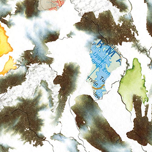 Larry Ochs - The Fictive Five [CD]