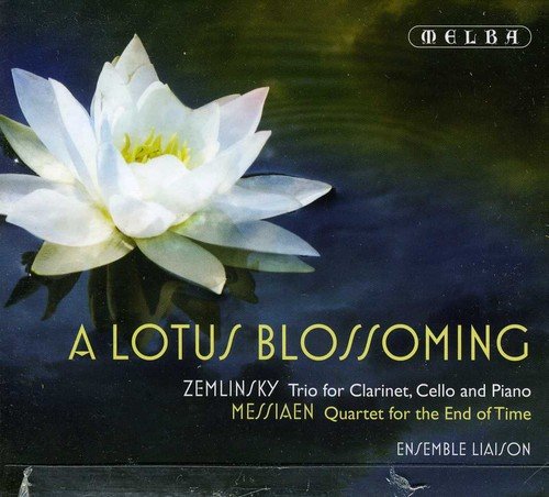 CD cover with a white lotus flower on dark water background.
