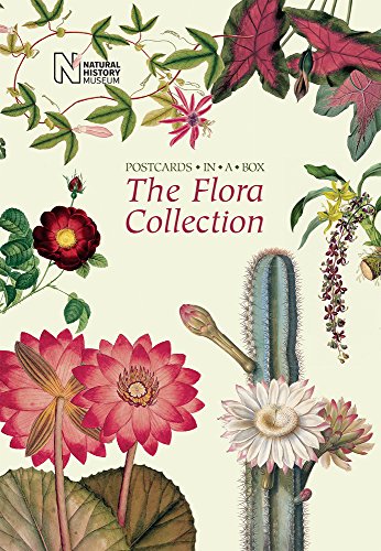 The Flora Collection: Postcards In A Box