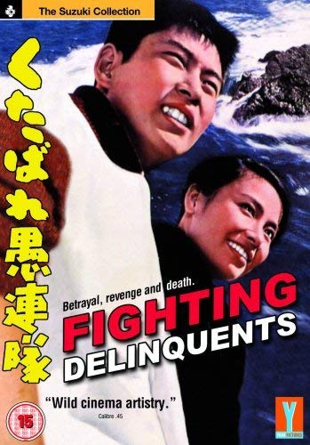 DVD cover for "Fighting Delinquents" featuring two men against a rocky ocean background.