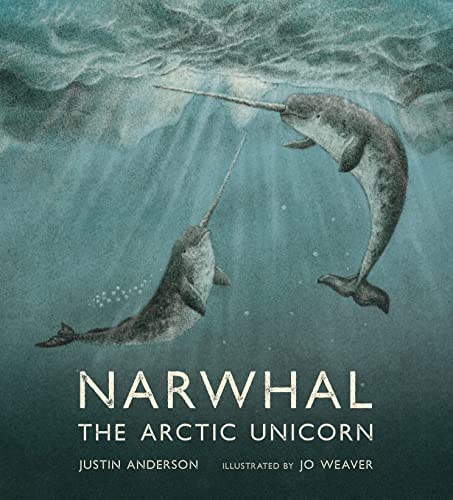 NARWHAL: THE ARCTIC UNICORN