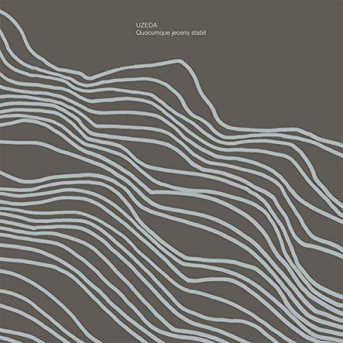 Dark gray vinyl album cover with wavy white lines and artist name at top.