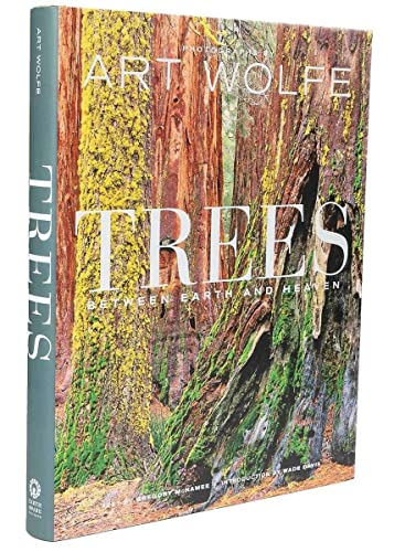 Trees: Between Heaven and Earth