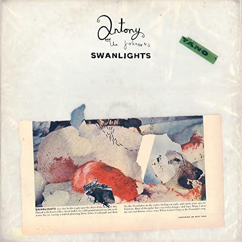 Antony & The Johnsons - Swanlights [CD]