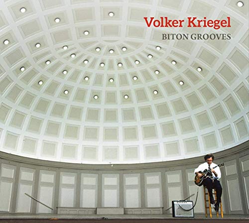 "Album cover featuring a man on a ladder playing guitar in a large, domed room."