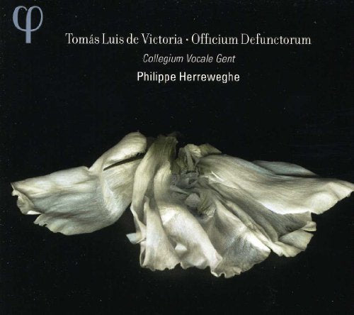 White flower petals against a black background with white text describing the album.