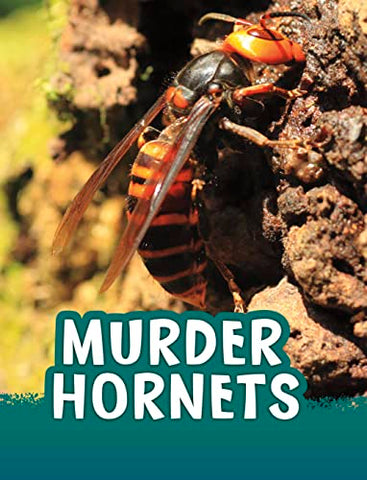 Murder Hornets (Animals)