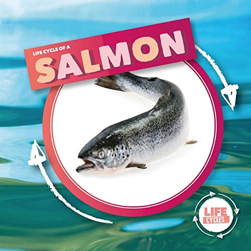 Life Cycle Of A Salmon (Life Cycles)