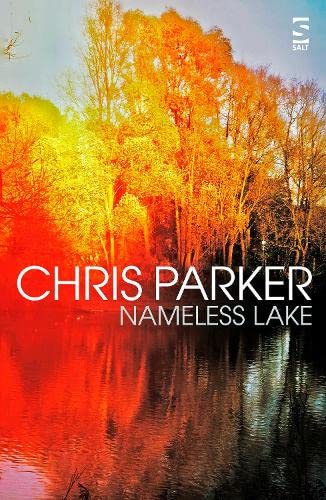 Nameless Lake (Salt Modern Fiction)