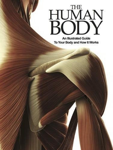 The Human Body: An Illustrated Guide To Your Body And How It Works