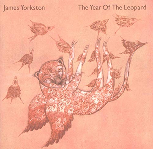 James Yorkston - The Year Of The Leopard [CD]