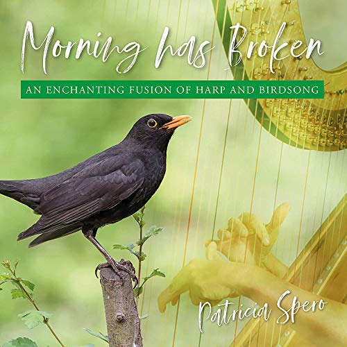 "Album cover featuring a blackbird on a branch with a harp in the background."