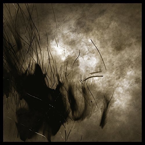 Weird Fate - Cycle Of Naught [CD]