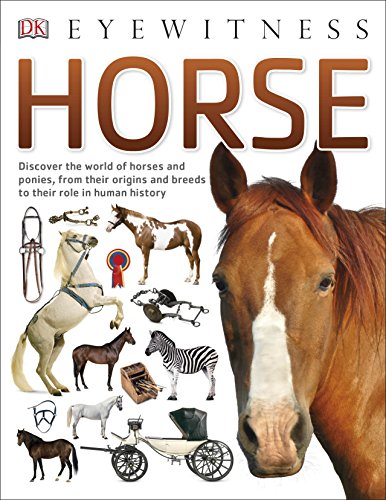 "Book cover featuring a brown horse's head, with various horse-related images and text."
