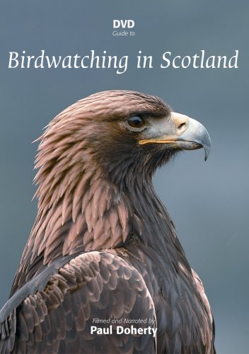 DVD cover featuring a brown bird of prey against a grey background.