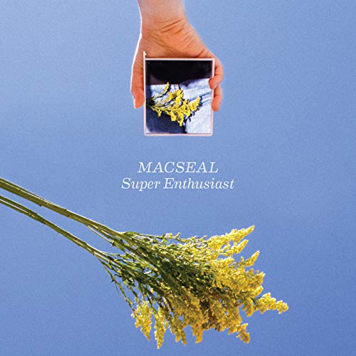 A hand holds a Polaroid of yellow flowers against a blue background.