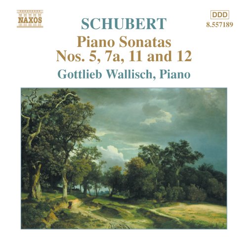A CD cover featuring a serene landscape painting with text describing Schubert's piano sonatas.