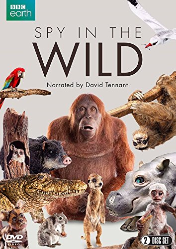 "Spy in the Wild" DVD cover featuring various animals and a BBC Earth logo.