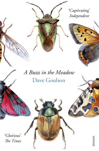 Book cover with assorted insects and title "A Buzz in the Meadow" by Dave Goulson.