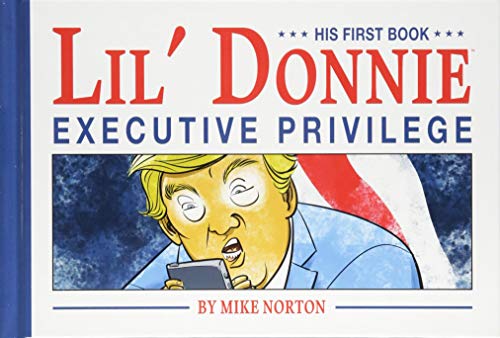 "Book cover featuring a cartoon Donald Trump holding a phone, with an American flag."