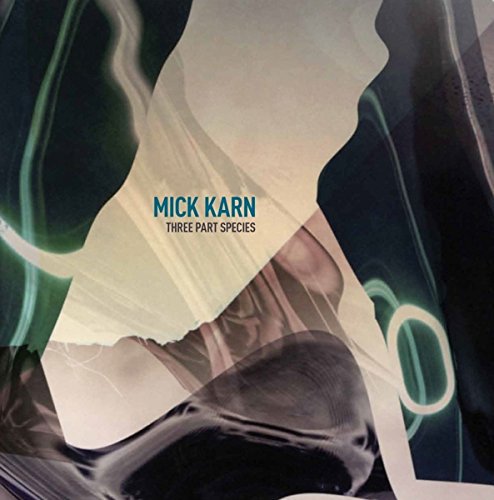 Vinyl record cover with abstract design and "Mick Karn - Three Part Species" text.