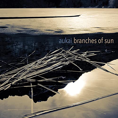 Aukai - Branches of Sun [VINYL]