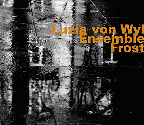 "Album cover with black and white photograph and orange text overlay."