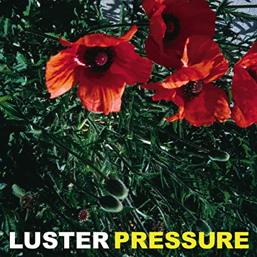 Luster - Pressure [VINYL]