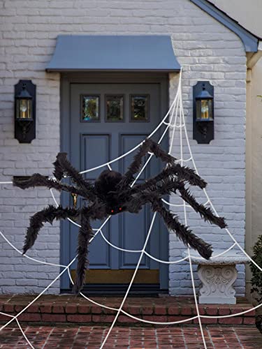 Outdoor Giant Spider & 1.2m Web
