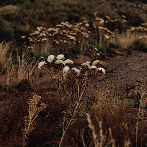 Various - The Fundamental Nature of Being, Part Two [CD]