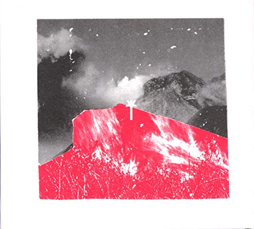 Wu Lyf - Go Tell Fire To The Mountain [CD]