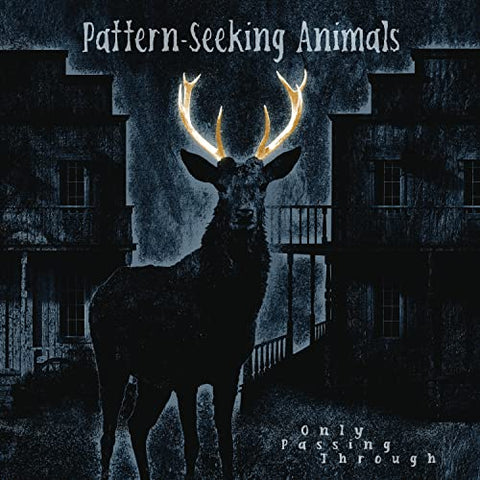 Pattern-seeking Animals - Only Passing Through [CD]