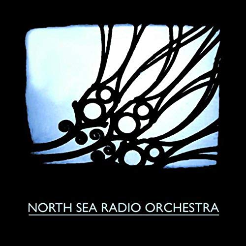 "Album cover with black floral design on white background, text 'North Sea Radio Orchestra'."