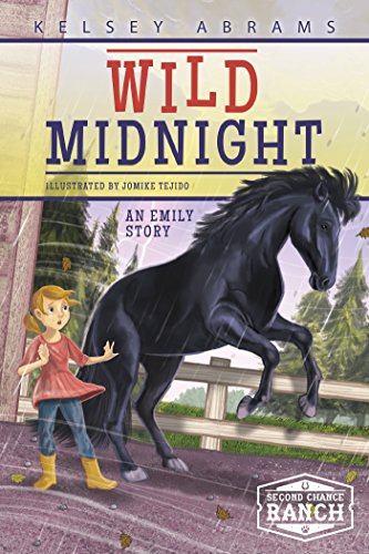 "Book cover featuring a girl in a red dress beside a black horse."