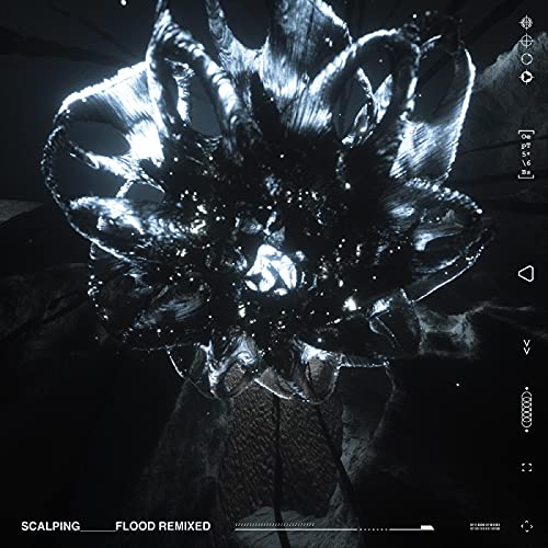Scaler - Flood Remixed [VINYL]