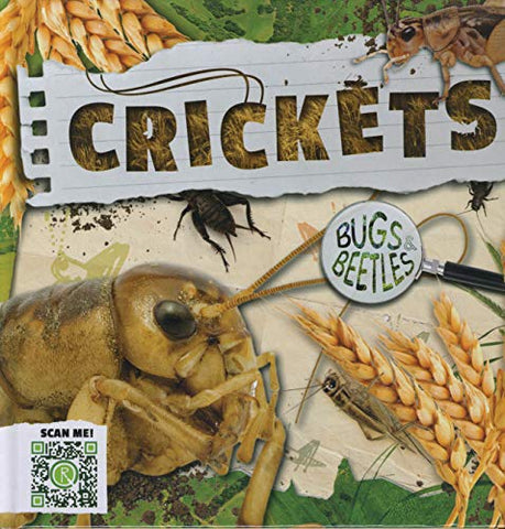 Crickets (Bugs and Beetles)