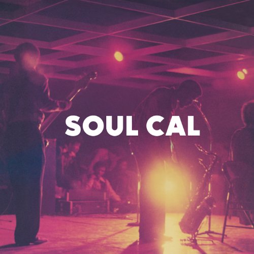 Va - Soul Cal: Funky Disco And M [CD]