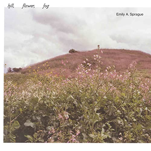 Emily A. Sprague - HILL, FLOWER, FOG [VINYL]