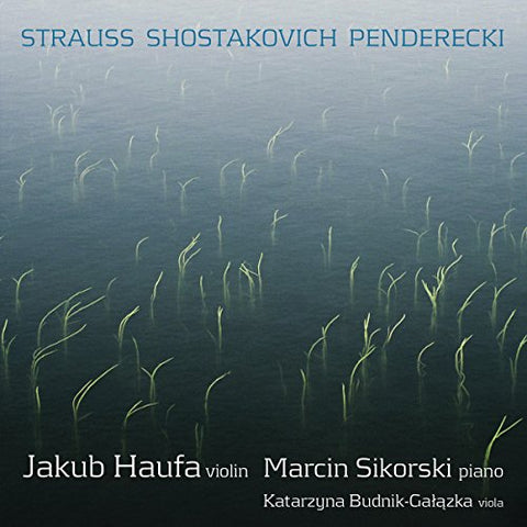 Haufasikorksibudnik - Violin Sonatas [CD]